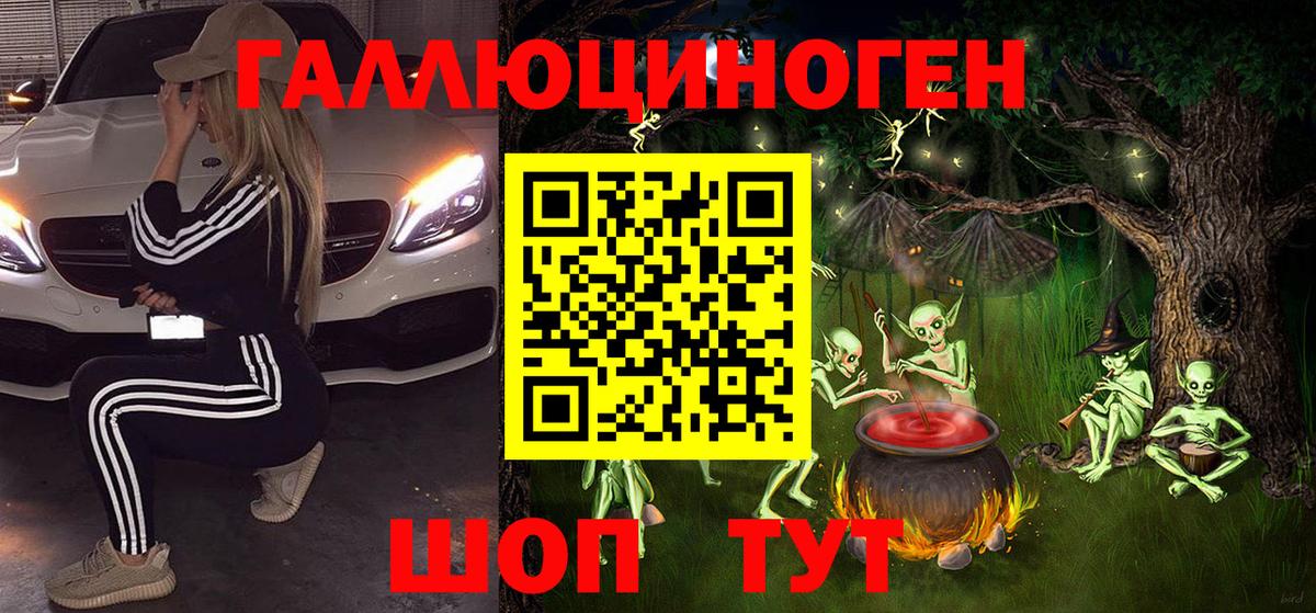 Псилоцибиновые грибы Psilocybine cubensis Кудрово
