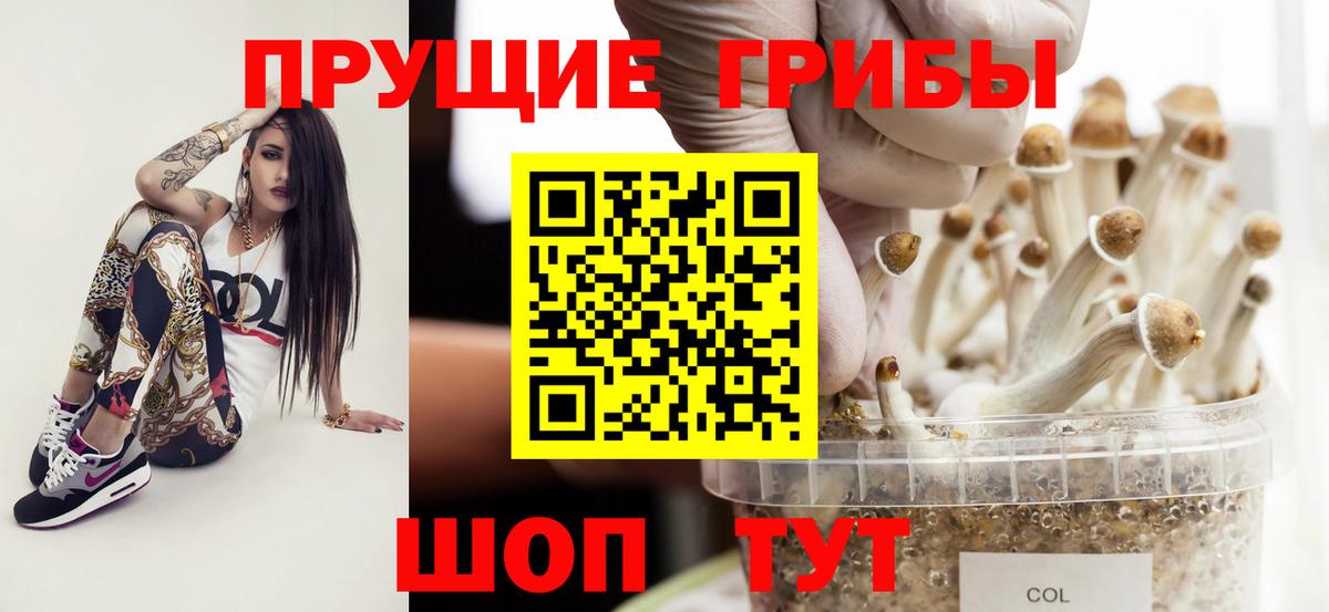 Псилоцибиновые грибы ЛСД  Вход с VPN  Кудрово 